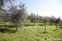 VBS_7140 - PressTour educational dedicato ai vini del Pinerolese e all’olio prodotto sulla collina di Pinerolo
